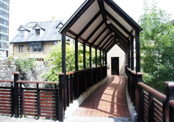 Frances King School of English 語言學習