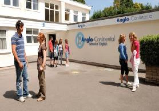 Anglo – Continental 專業證書