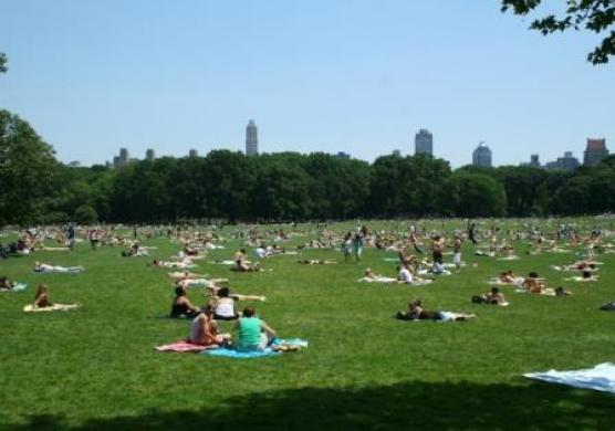 EC English New York 語言學習