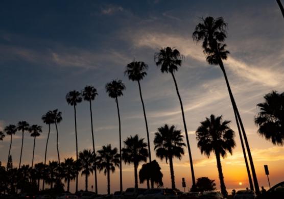 EC English San Diego 語言學習