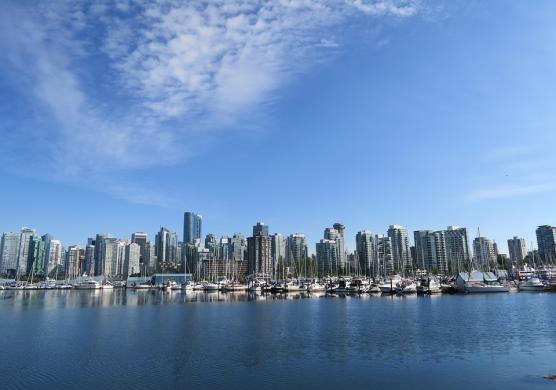 Tamwood Careers Vancouver 專業證書