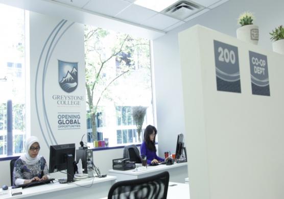 Greystone College 主題課程