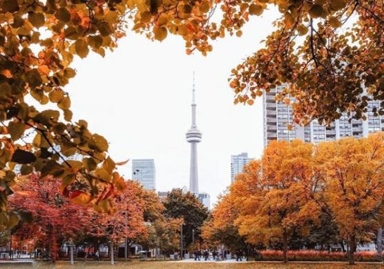 ILAC International Toronto 語言學習