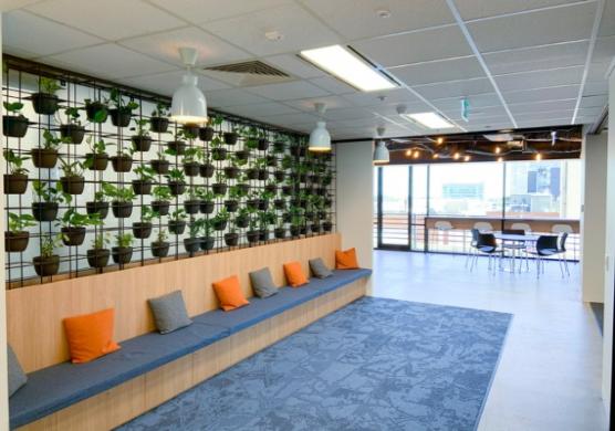 Greystone College Adelaide 專業證書