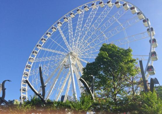ILSC Language Schools Brisbane 語言學習