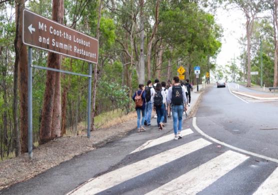 Greystone College Brisbane 專業證書