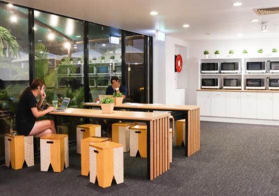 Greystone College Brisbane 專業證書