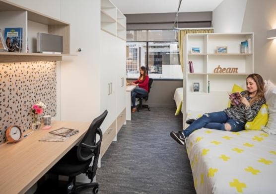 Greystone College Brisbane 專業證書