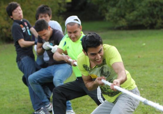 Greystone College Sydney 專業證書