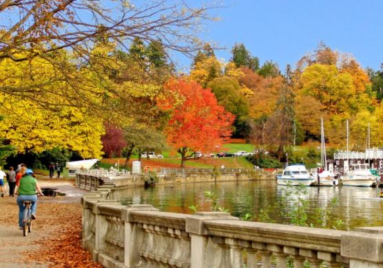 Greystone College Vancouver 專業證書