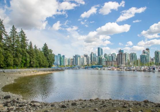 Greystone College Vancouver 專業證書