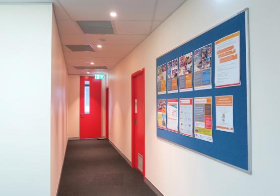 Impact English College 語言學習