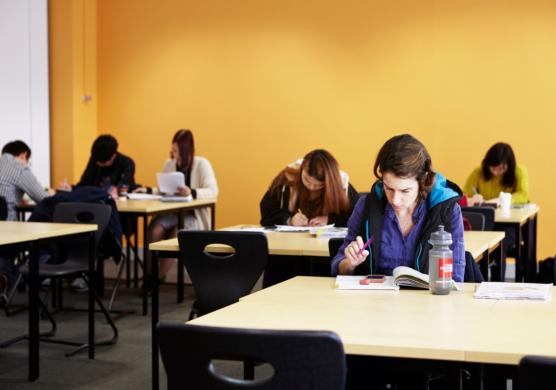 Impact English College Brisbane 語言學習