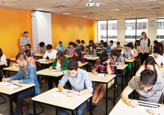 Impact English College 語言學習