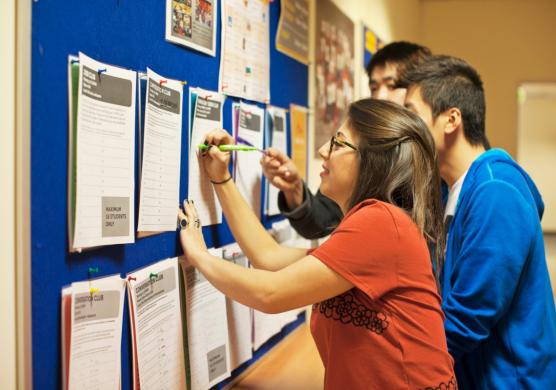 Impact English College Melbourne 語言學習