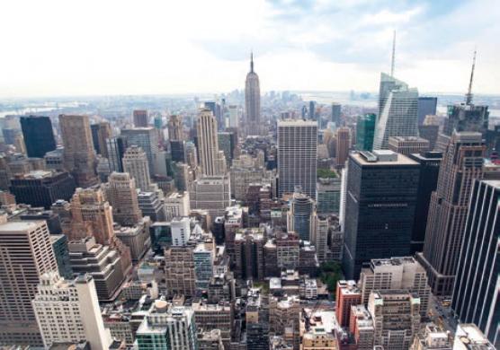 Kings New York 語言學習