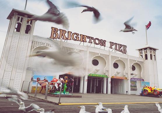 Kings Brighton 語言學習
