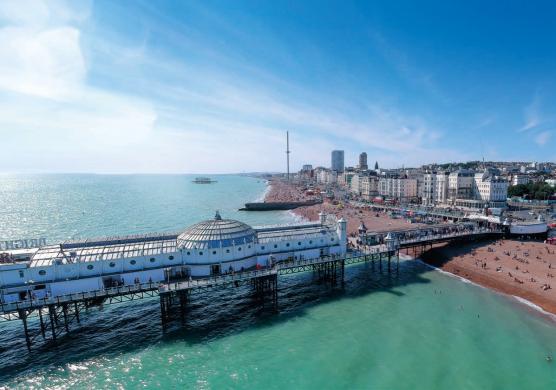 Kings Brighton 語言學習