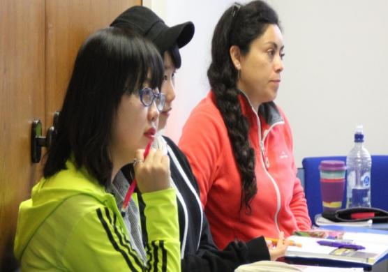Language Studies International 主題課程