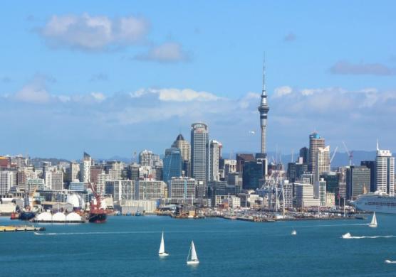 Language Studies International Auckland 主題課程