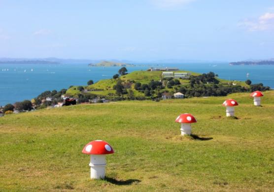 Language Studies International Auckland 語言學習