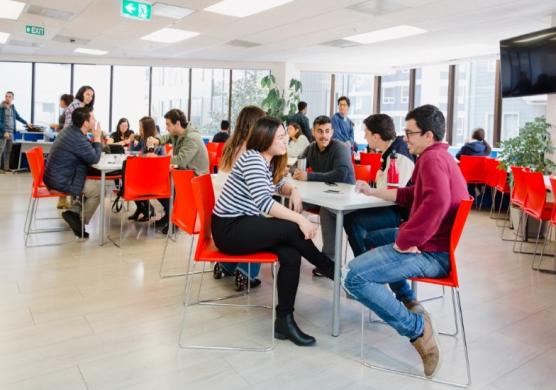 Language Studies International Auckland 語言學習