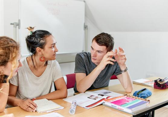 Language Studies International 語言學習