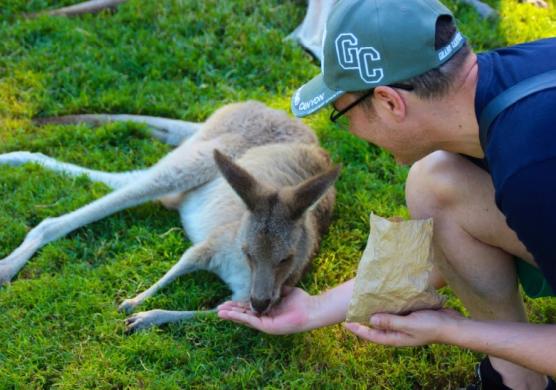 Language Studies International Brisbane 主題課程