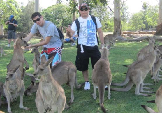 Language Studies International Brisbane 語言學習