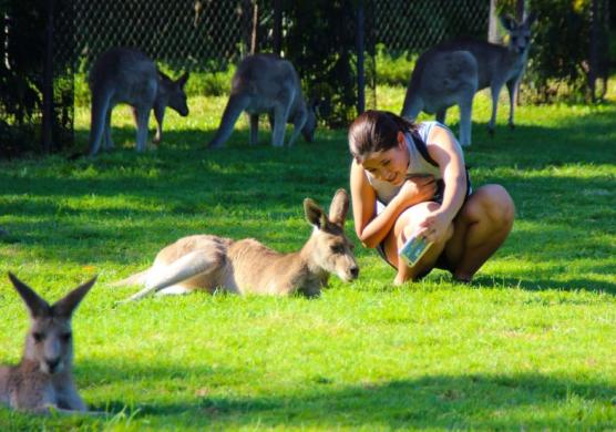 Language Studies International Brisbane 語言學習