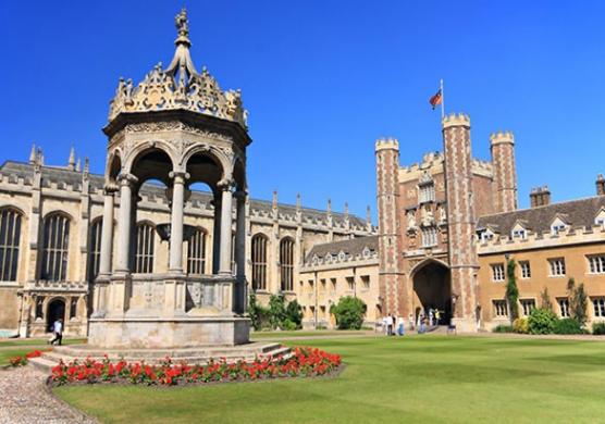 Language Studies International 語言學習