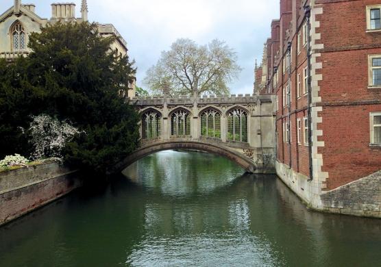 Language Studies International Cambridge 語言學習