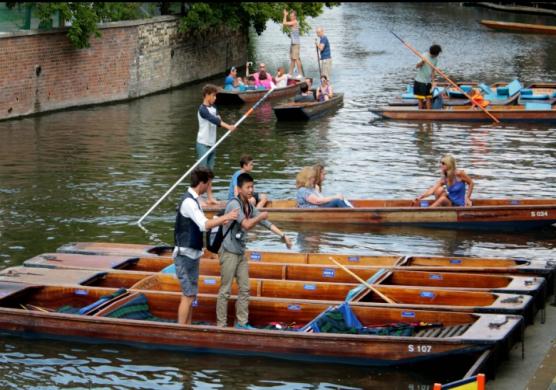 Language Studies International Cambridge 主題課程