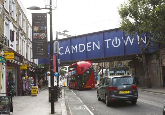 Language Studies International London Hampstead 主題課程