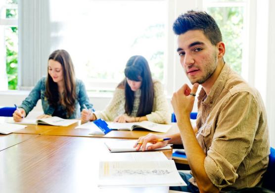 Language Studies International London Hampstead 語言學習