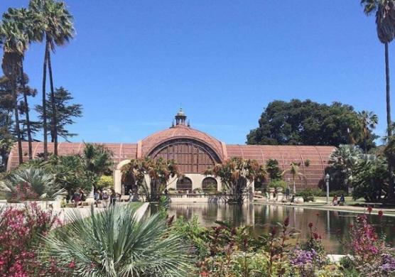 Language Studies International San Diego 主題課程