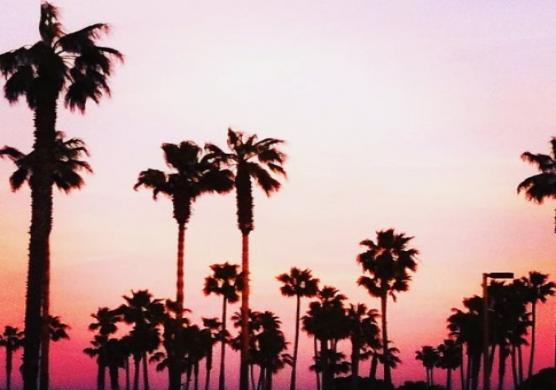 Language Studies International San Diego 主題課程