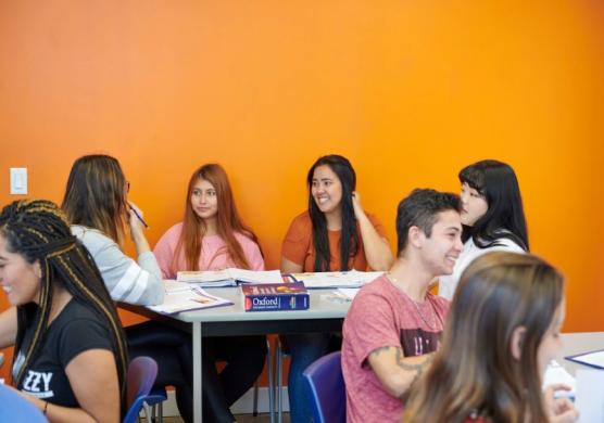 Language Studies International Toronto 主題課程