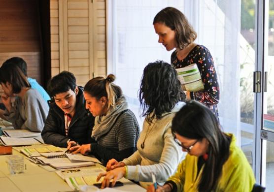 Language Schools New Zealand 語言學習