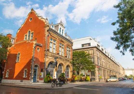 Greystone College 專業證書