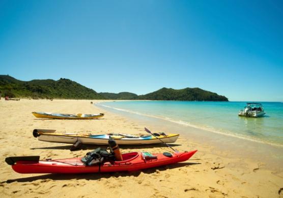 New Zealand Language Centres 主題課程