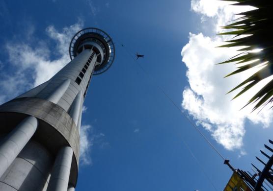 New Zealand Language Centres 語言學習