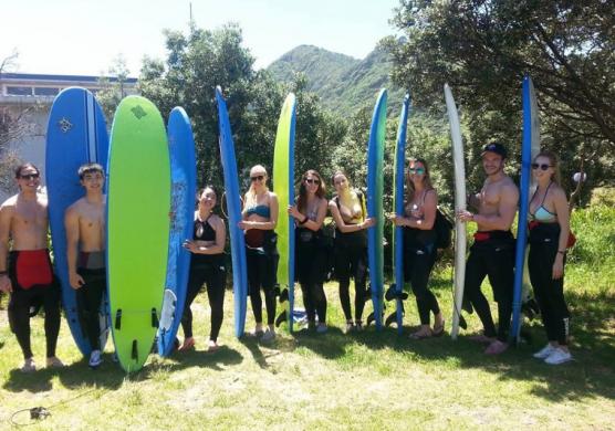 New Zealand Language Centres 語言學習