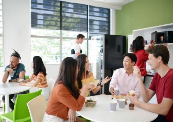 New Zealand Language Centres 主題課程