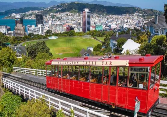 New Zealand Language Centres 語言學習