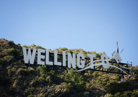 New Zealand Language Centres 語言學習