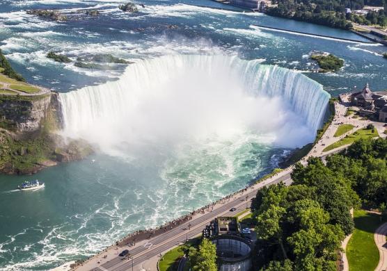 Tamwood Careers Toronto 主題課程