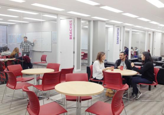 Tamwood Toronto 語言學習