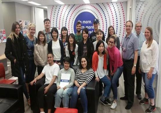 Tamwood Careers Toronto 主題課程