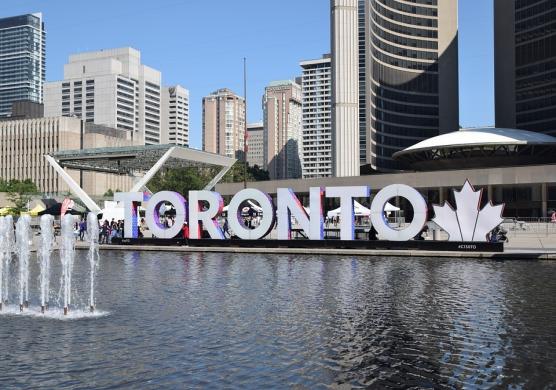 Tamwood Careers Toronto 主題課程